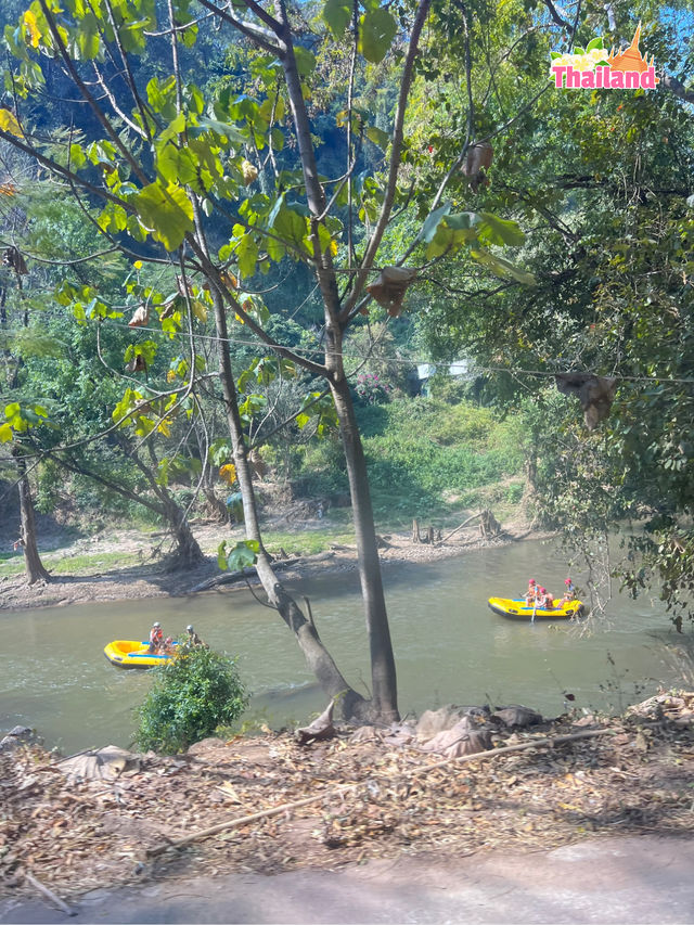 🇹🇭 Chiangmai White Water Rafting