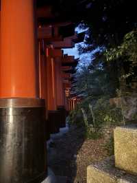【京都・伏見稲荷】ガイドさんと登る夜の伏見稲荷