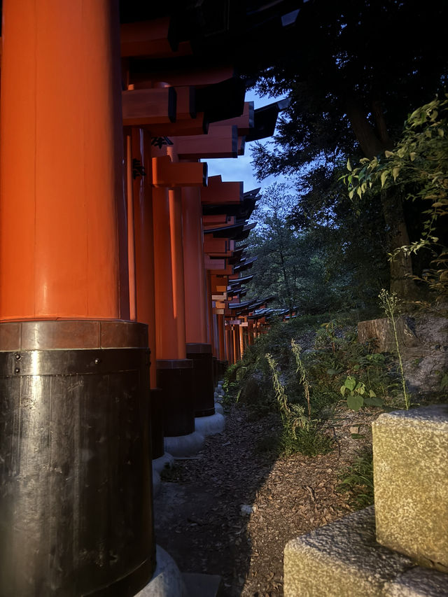 【京都・伏見稲荷】ガイドさんと登る夜の伏見稲荷