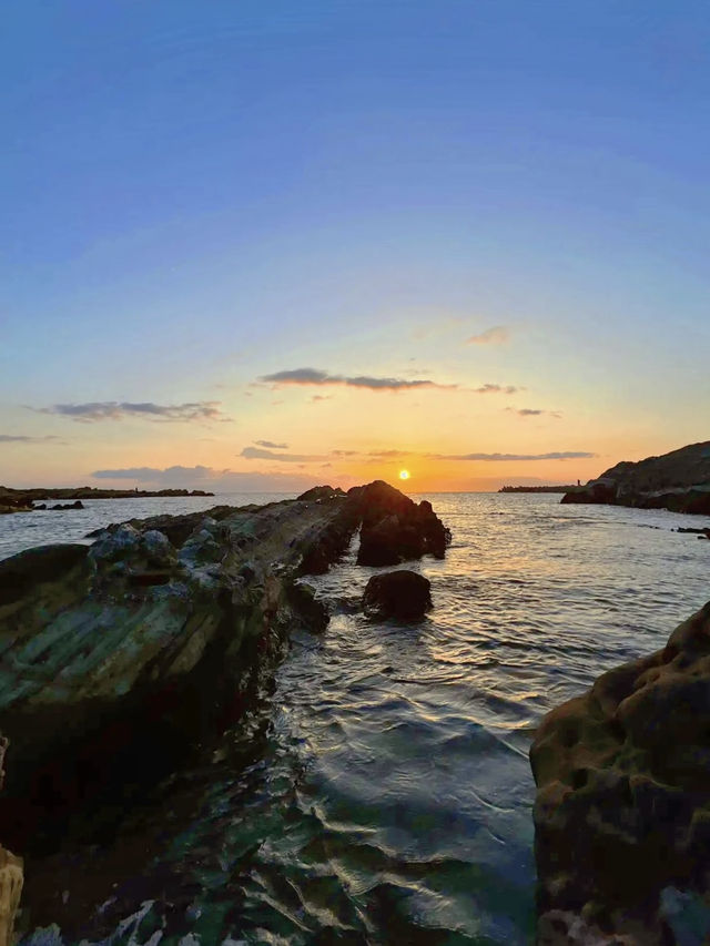 【神奈川】ねこ島🐈絶景夕陽スポットでお散歩