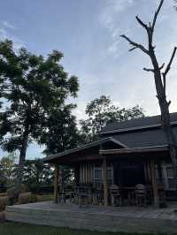 Trot Cafe เขาใหญ่ คาเฟ่ที่กำลังเป็นกระแส🐴