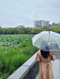 전주 사진찍기 좋은 명소 덕진공원