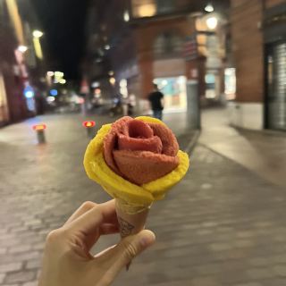 I visited the small but beautiful city of Toulouse in France.