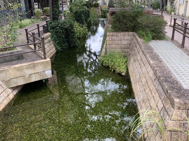 ひろめ市場