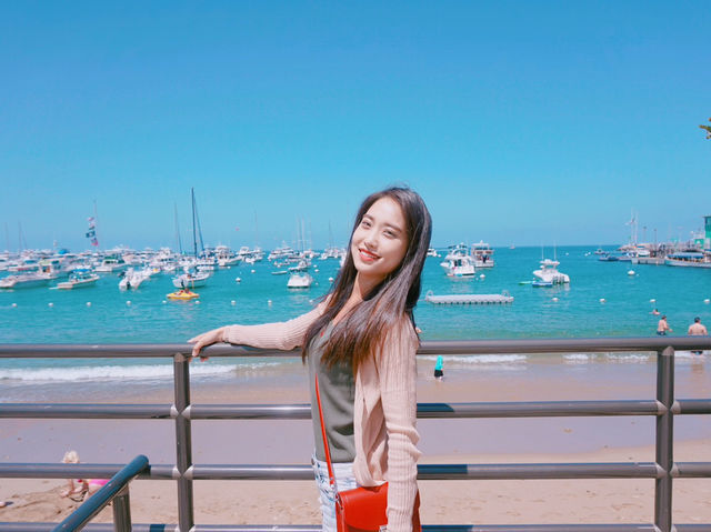 힐링하기 좋은 LA근교 여행 : 산타카탈리나섬