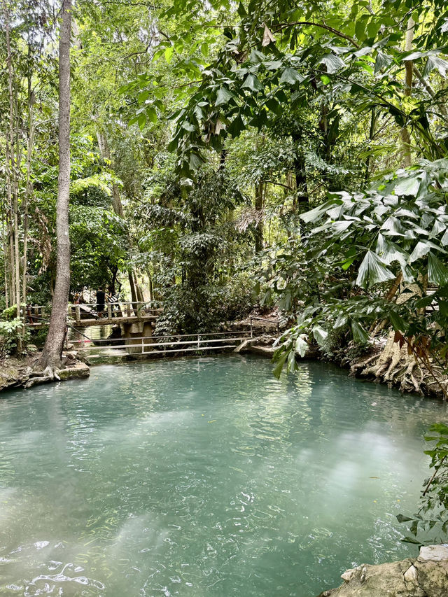 น้ำพุธรรมชาติบ้านท่าช้าง เขาใหญ่🌳