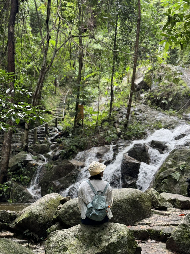 น้ำตกแม่กำปอง | จ.เชียงใหม่ 🪨💦🌿🌳