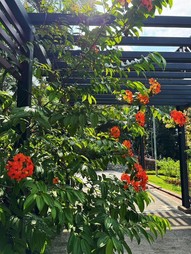 🌺 Garden of National Flower