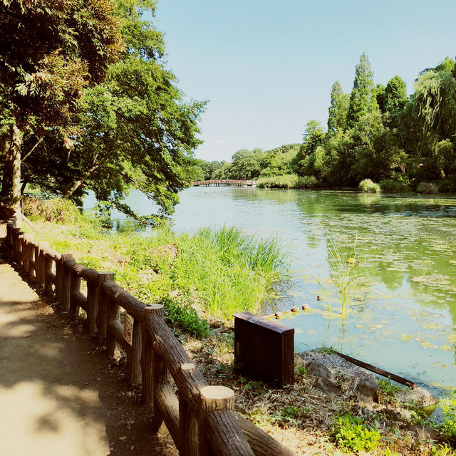～井の頭恩賜公園～