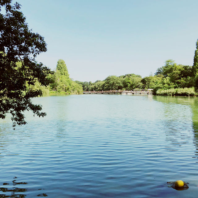 ～井の頭恩賜公園～