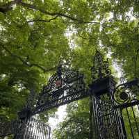 Discover The Charms of Cambridge: A Half-Day Tour Through History and Academia