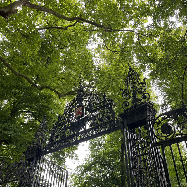 Discover The Charms of Cambridge: A Half-Day Tour Through History and Academia
