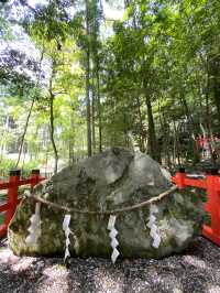 【京都観光】身も心も清められる出雲大神宮で御参拝⛩️
