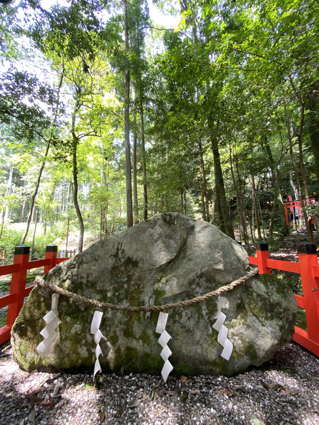 【京都観光】身も心も清められる出雲大神宮で御参拝⛩️