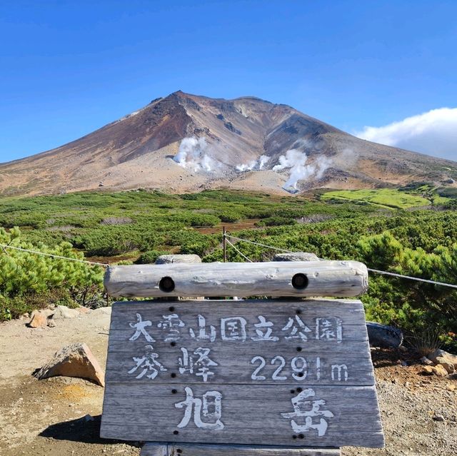 北海道之旅-自駕遊-旭丘