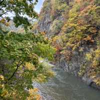 【北海道】紅葉がきれいな温泉地🍁