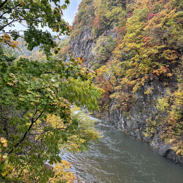 【北海道】紅葉がきれいな温泉地🍁