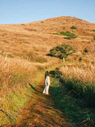 가을 꼭 다녀와야하는 억새명소 황매산💛