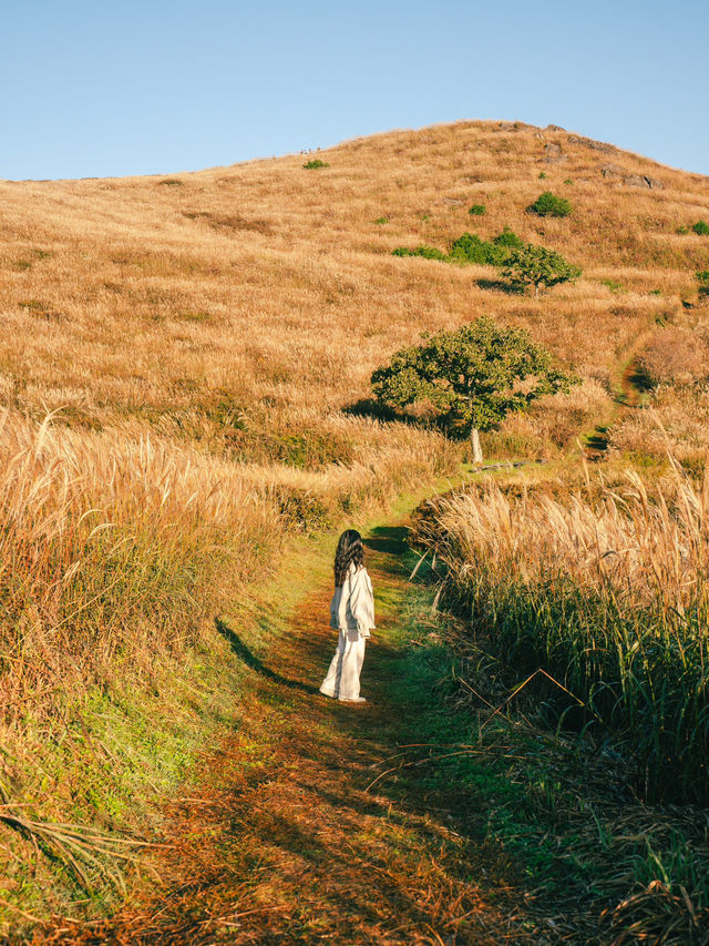 가을 꼭 다녀와야하는 억새명소 황매산💛