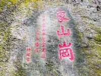 登高望遠象山行 台北美景盡收睛