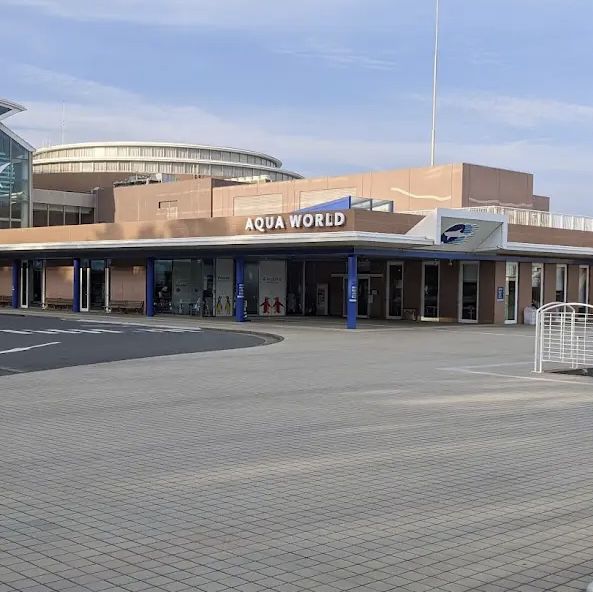 茨城　大洗水族館🪼