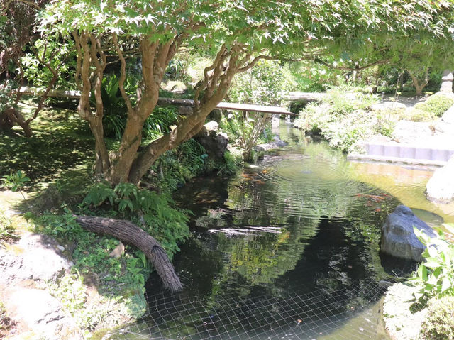 【鎌倉市】鎌倉にある竹林報国寺🎋
