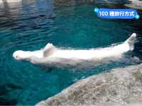 名古屋港水族館