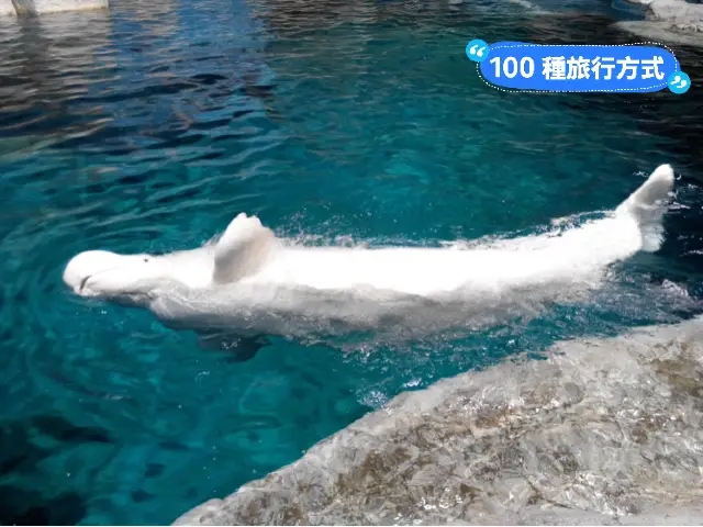 名古屋港水族館