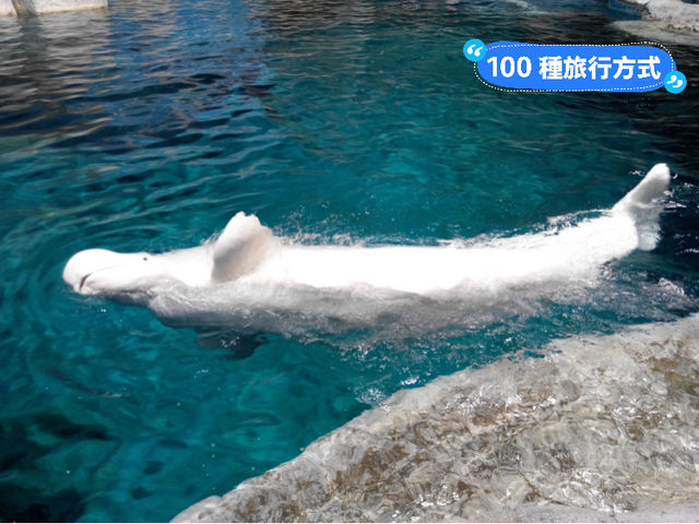 名古屋港水族館
