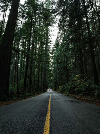 【北溫哥華🇨🇦】假期短途健行🚶‍♀️