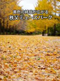 【秩父】黄色の絨毯が広がる秩父ミューズパーク 絶品メープルシロップパンケーキ