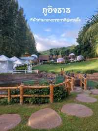 พักผ่อนท่างกลางธรรมชาติ @ ภูอิงธาร