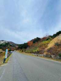 【福島】今だけ!!秋ドライブで紅葉を見に行こう!!