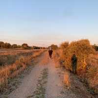 朝聖之路 Camino De Santiago 