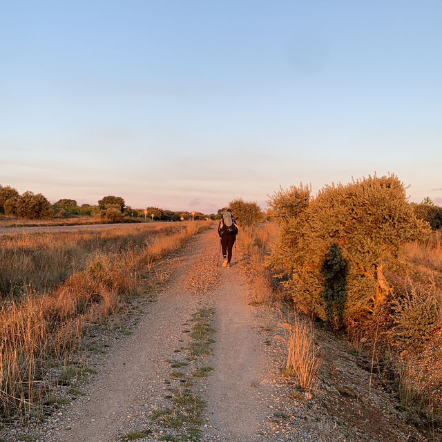 朝聖之路 Camino De Santiago 