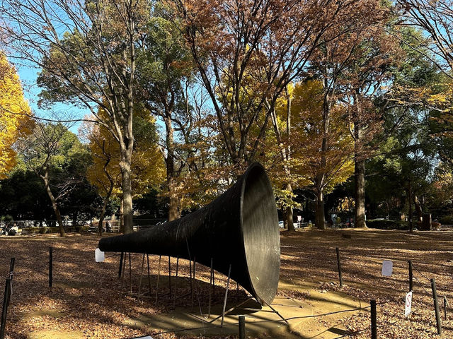 🍁上野公園銀杏黃 🍂金葉飄舞隨風翔