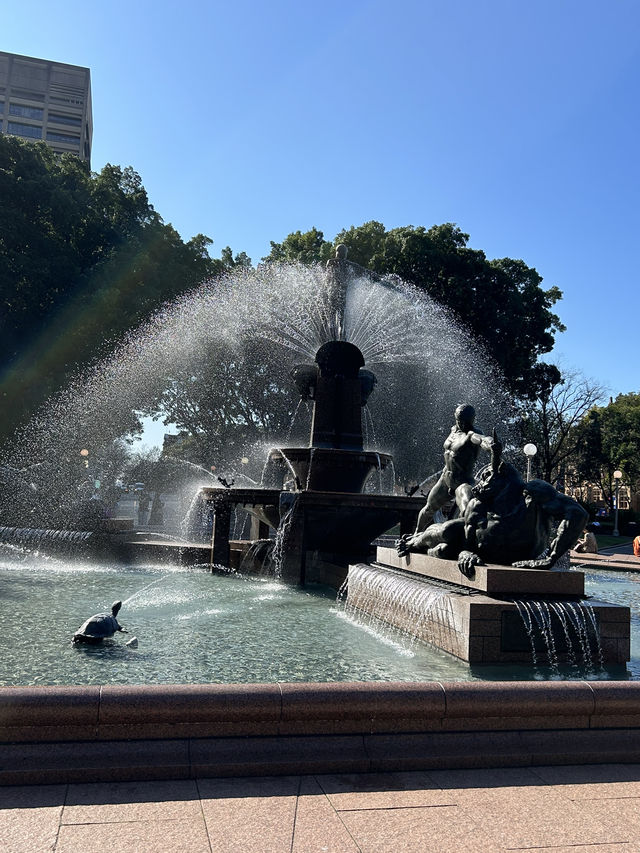 호주 시드니 “아치볼드 분수”⛲️