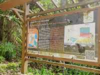 Alas Purwo National Park