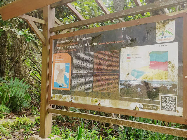 Alas Purwo National Park