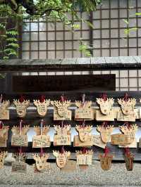 Nara’s Sacred Sanctuary ⛩️🦌