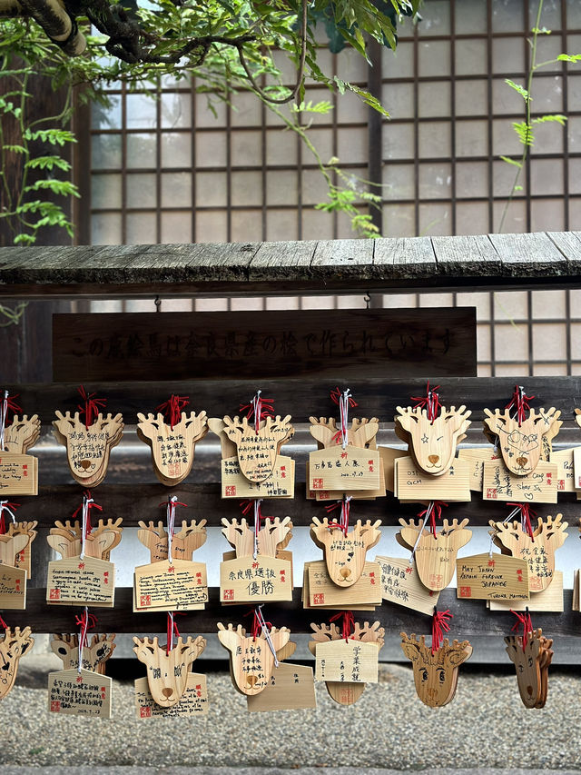Nara’s Sacred Sanctuary ⛩️🦌
