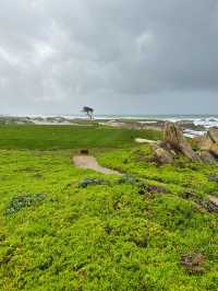 One of the most scenic drives in California 