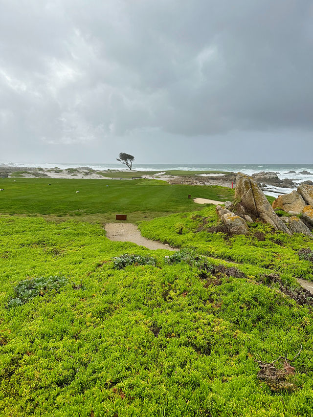One of the most scenic drives in California 