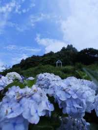 名古屋一日遊：花海＋溫泉