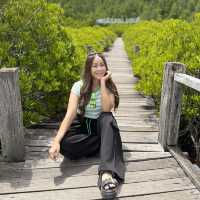 ท่องเที่ยวเชิงอนุรักษ์ที่ทุ่งโปรงทองปากน้ำประแส