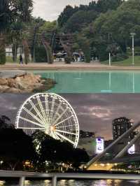 너무나 좋았던 호주 브리즈번 🌃