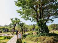 บ้านนาก๋างโต้ง Baan Na Kang Tong Cafe & Homestay