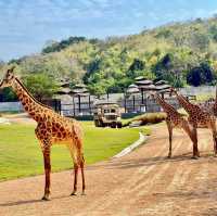 สวนสัตว์เมืองไทย🦒🐘