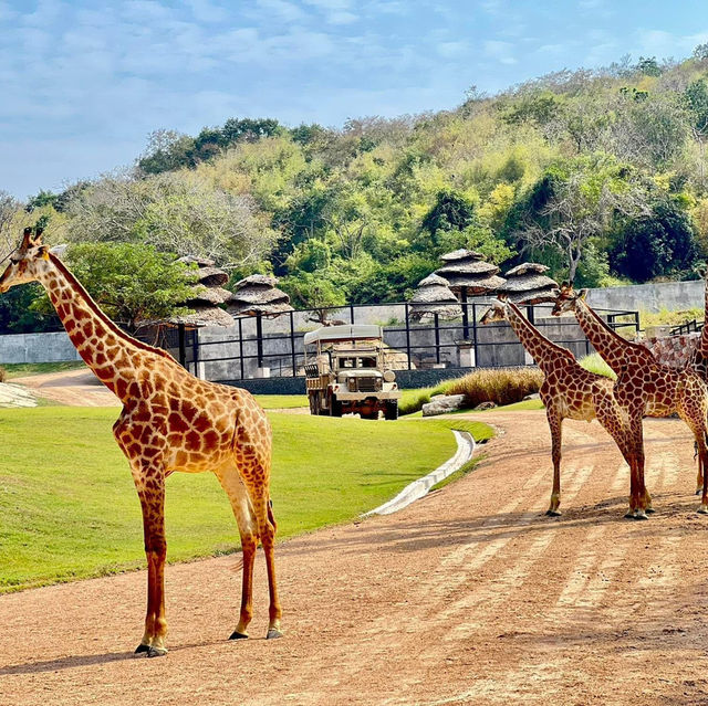 สวนสัตว์เมืองไทย🦒🐘