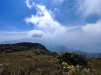 หนาวนี้ .... เจอกัน ที่ กิ่วแม่ปาน
